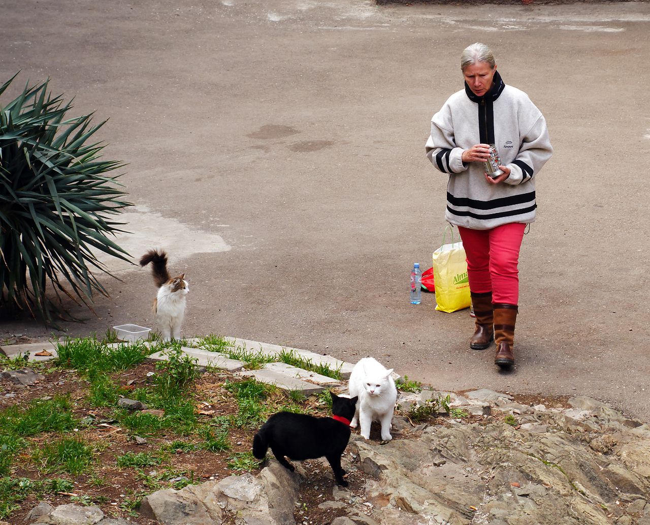 Тепло осеннего Тбилиси Тбилиси, Грузия