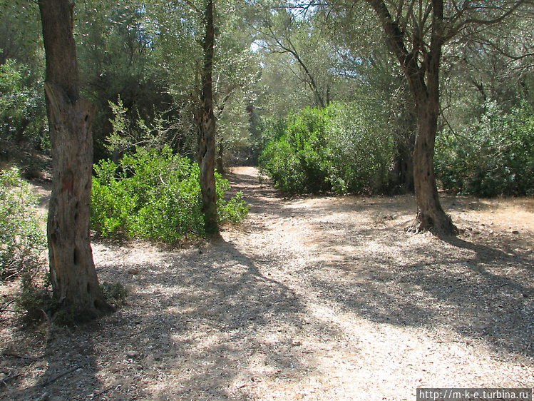 Ликийская дорога