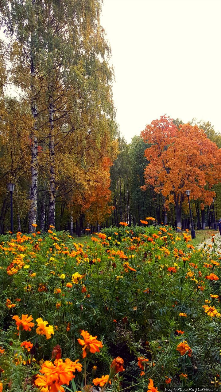 Городец на Волге. Глазами жителей и влюблённых в город.