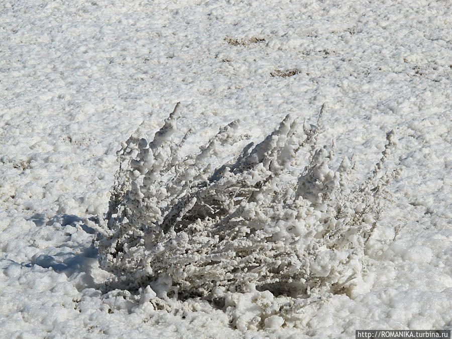вот такая пена на берегу  соленого озера в ветренную погоду Торревьеха, Испания