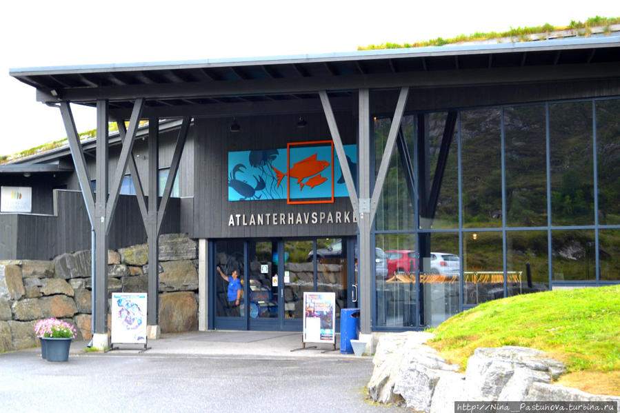 Аквариум / Atlanterhavsparken (Ålesund aquarium)