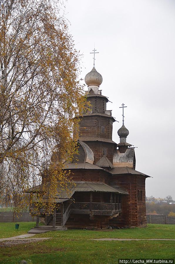 Березки и  купола 1(Преображенская церковь)
