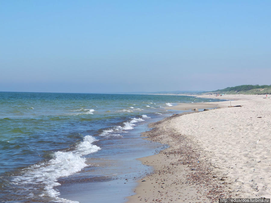 Лежу на пляжу, на букашек гляжу)))