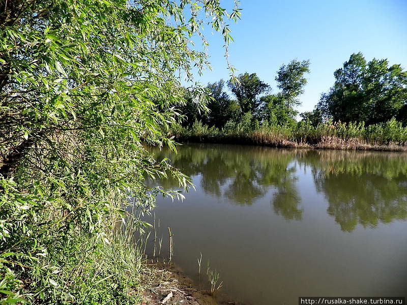 Мертвый Донец — живая вода Недвиговка, Россия