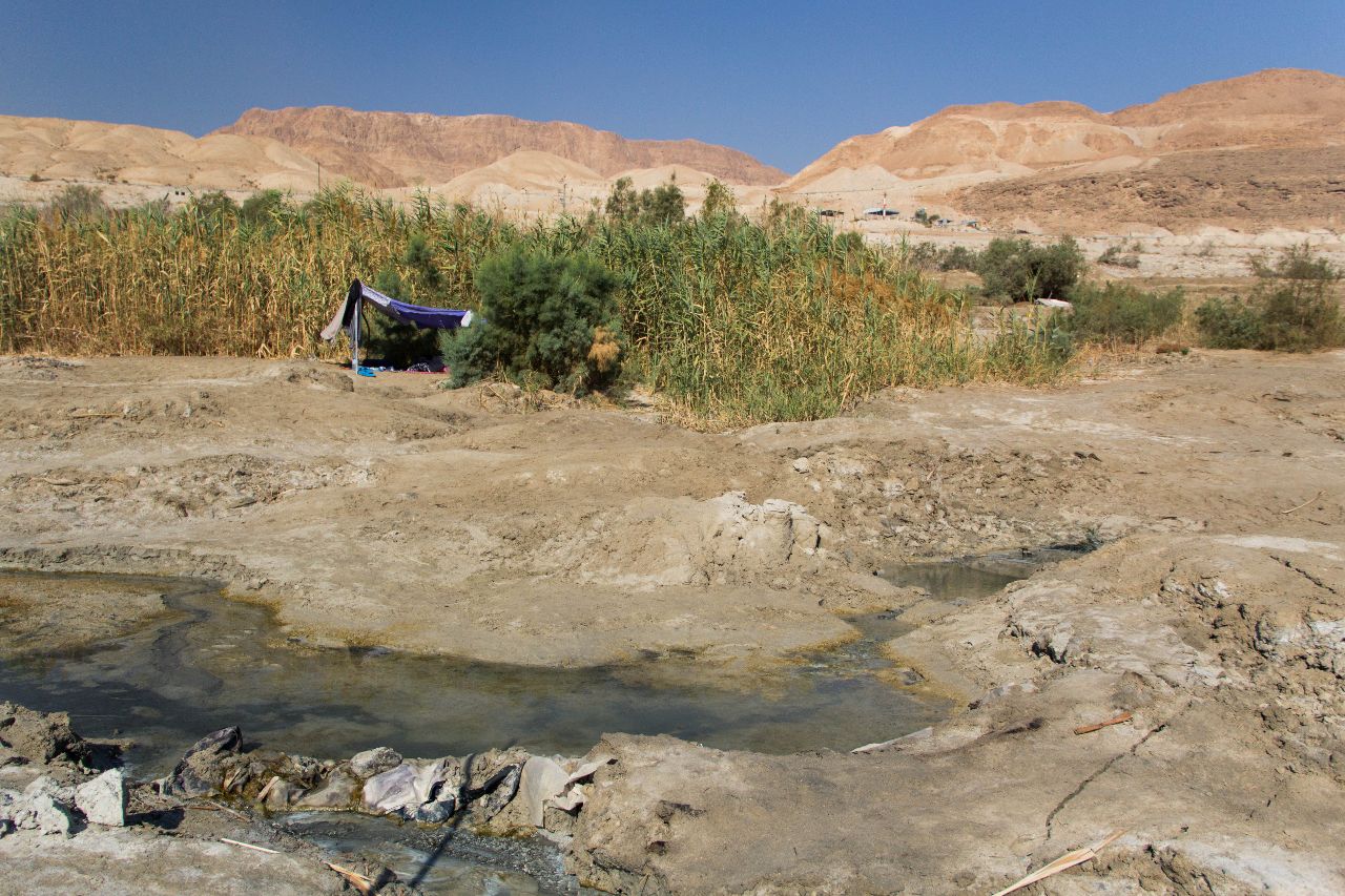 на Мёртвом море. Ркчей с пресной водой Мертвое море, Израиль