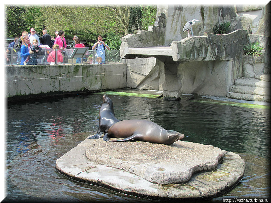 Голандия апрель 2012 года. Амстердам, Нидерланды