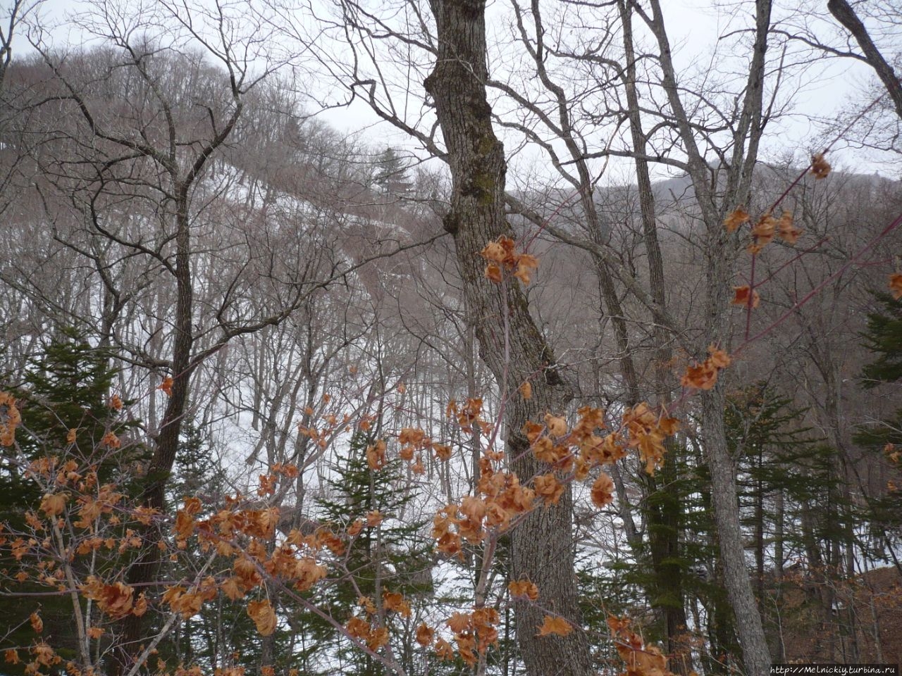 Кравцовские водопады (5 ступеней) Кравцовка, Россия Кравцовские водопады (5 ступеней) Кравцовка, Россия