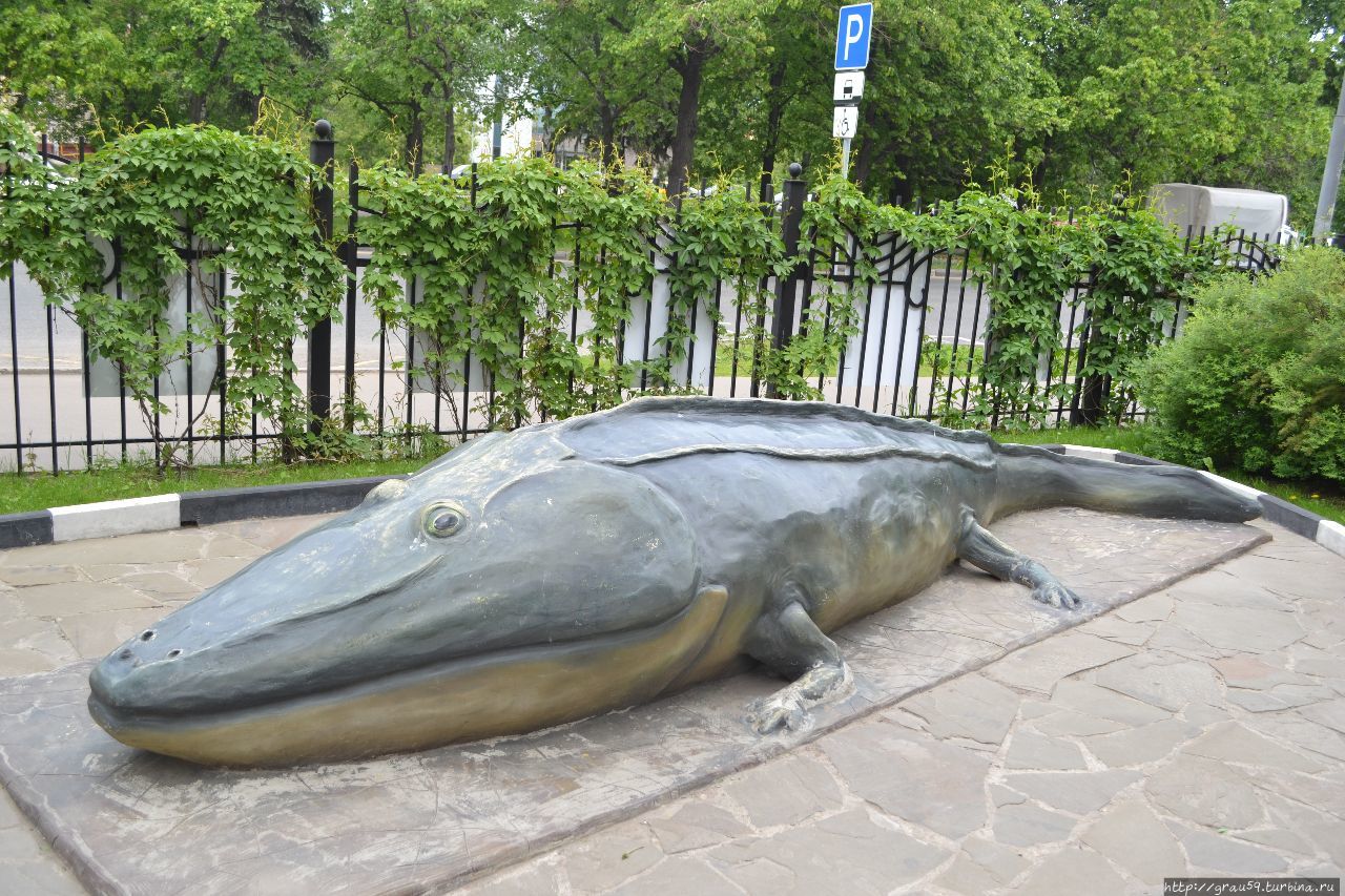 дарвиновский музей мамонт