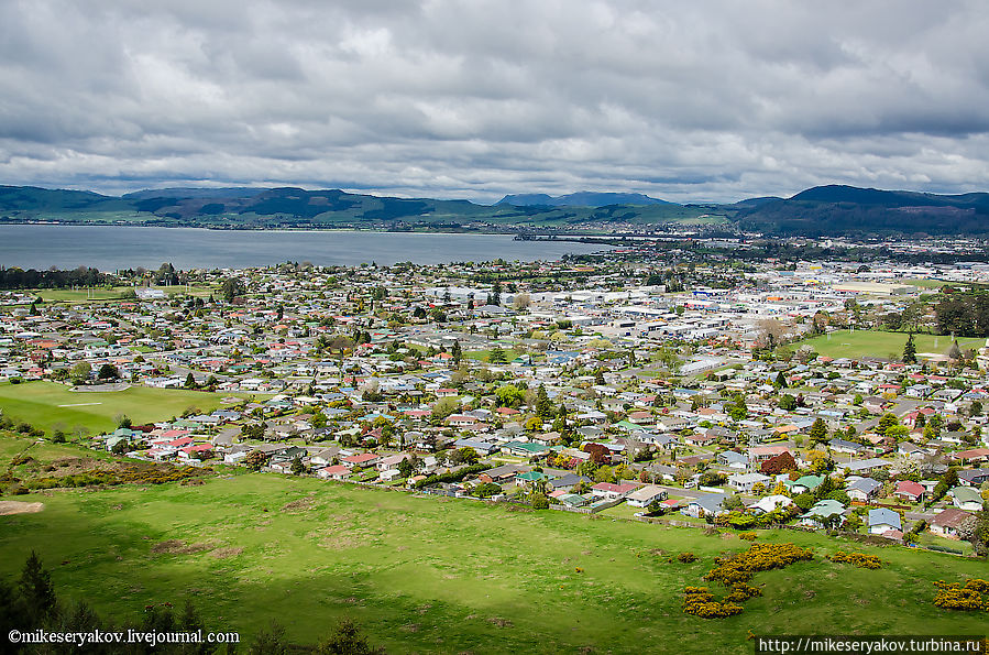 Новая Зеландия. День 5. Киви и маори Роторуа, Новая Зеландия
