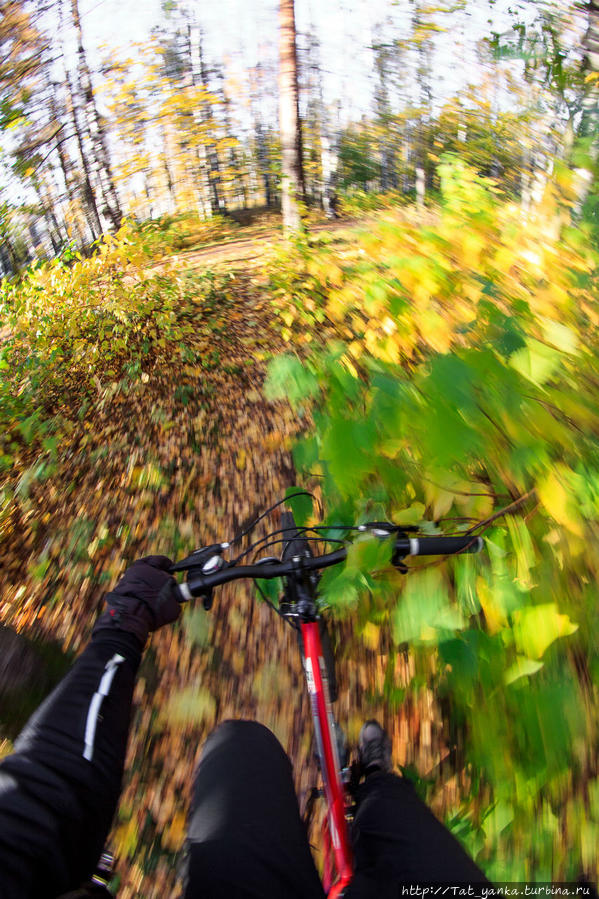 Про осень..про велоосень