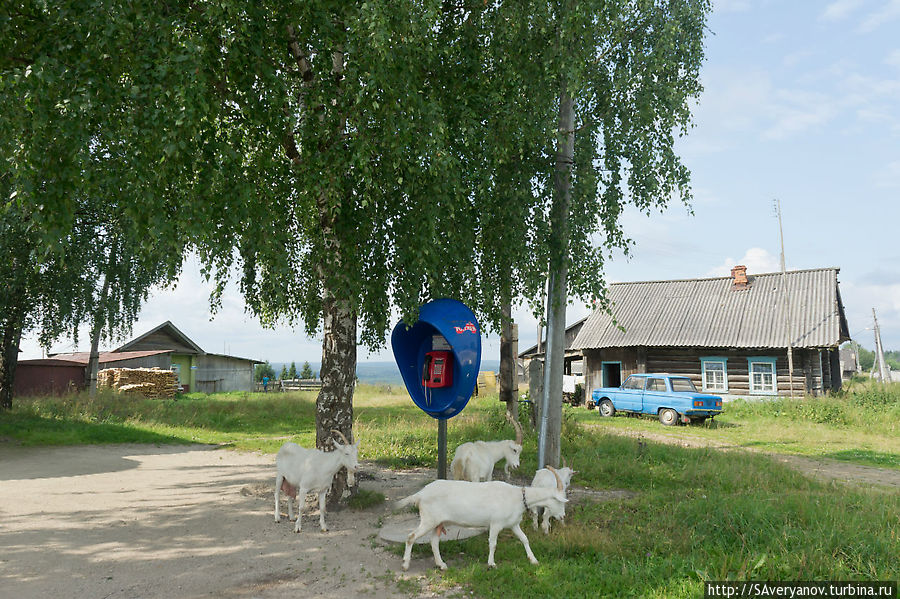 Аборигены Перми Великой Красновишерск, Россия