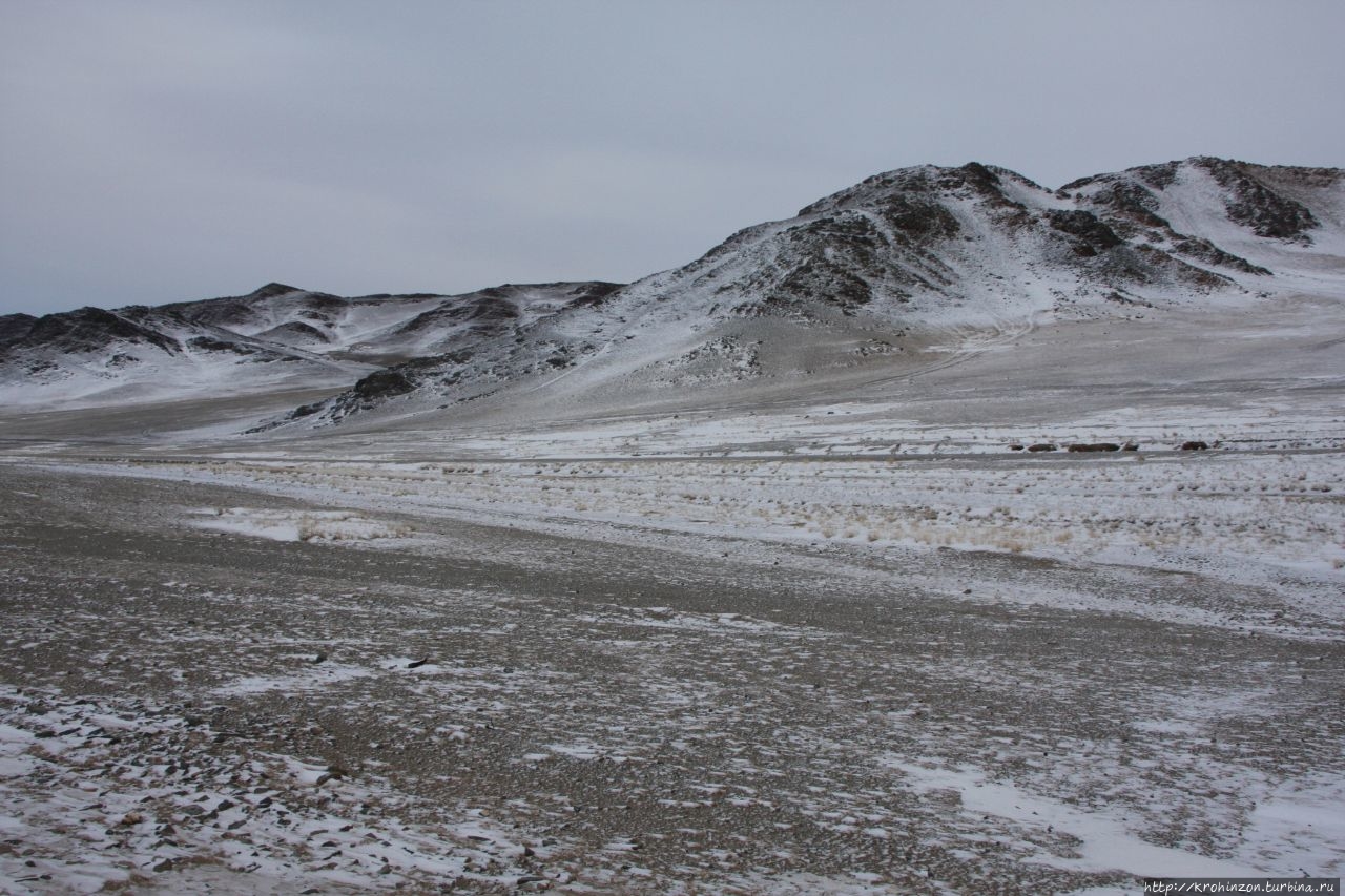 Монголия зимой. Часть первая. Монголия