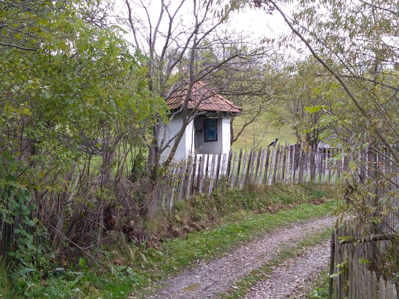 Склеп в районе Страда Коаста в Петрошани Петрошани, Румыния