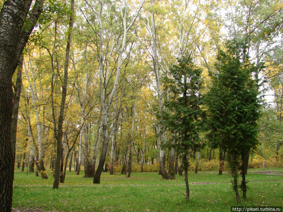 Дорогожицкий парк Киев, Украина