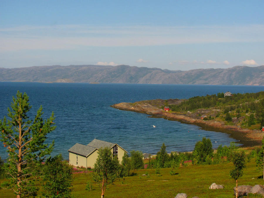 Финнмарк.  Ягоды, иван-чай и рисунки древних Альта, Норвегия