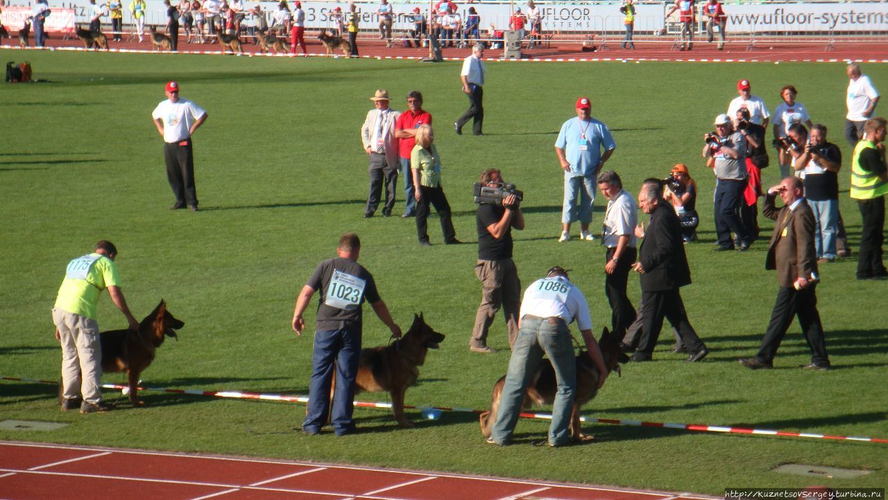 Зигер в Ульме Ульм, Германия Зигер в Ульме Ульм, Германия