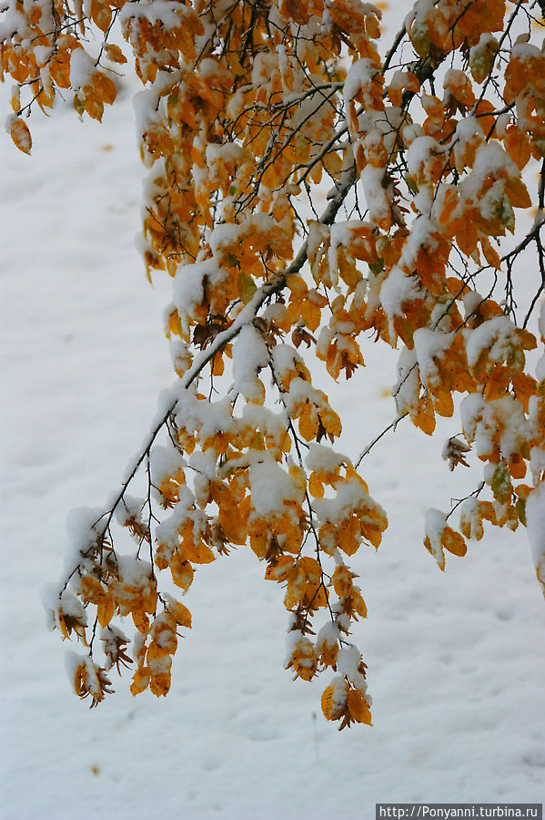 Зима нечаянно нагрянет Штутгарт, Германия