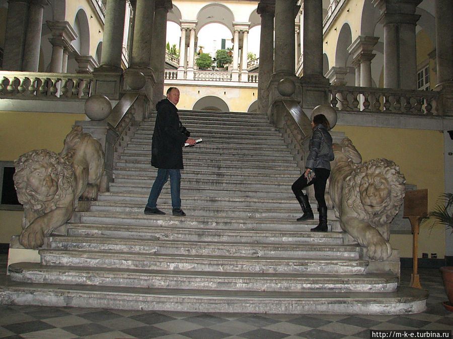 Университет