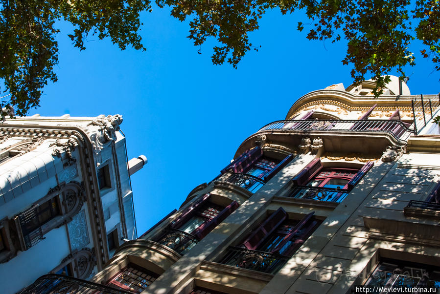 Из кафе Барселона, Испания