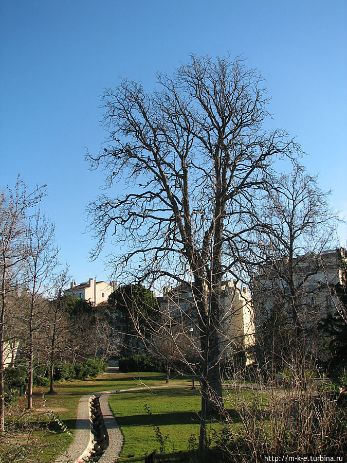 Утренний моцион вокруг парка и дворца Лоншан Марсель, Франция