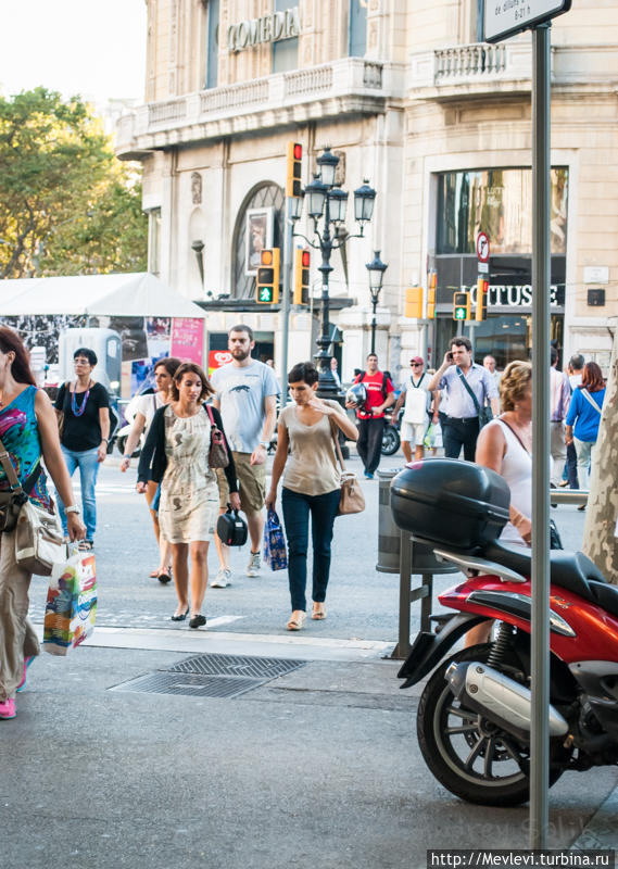 Из кафе Барселона, Испания