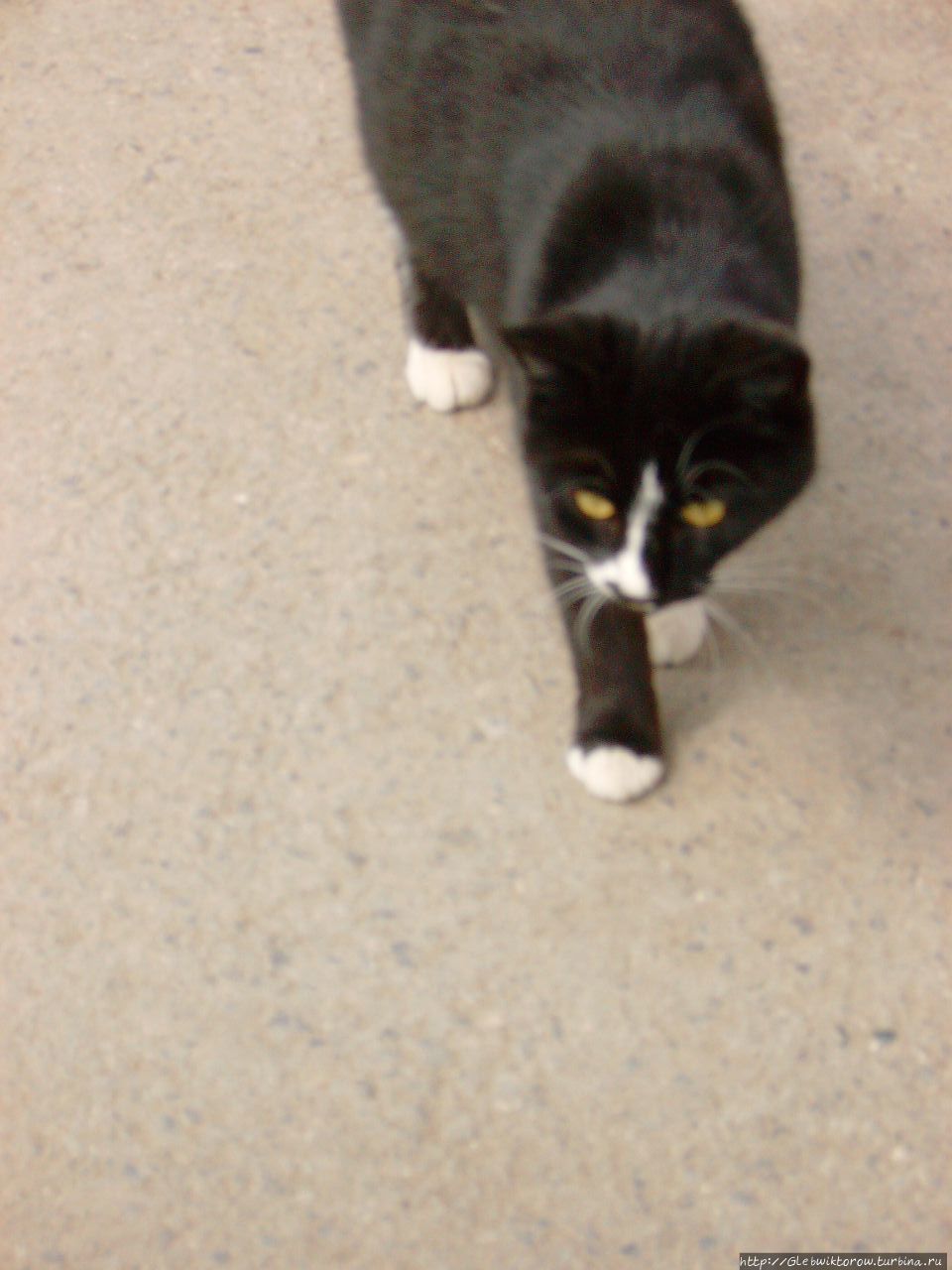 Прогулка по Таганрогу Таганрог, Россия