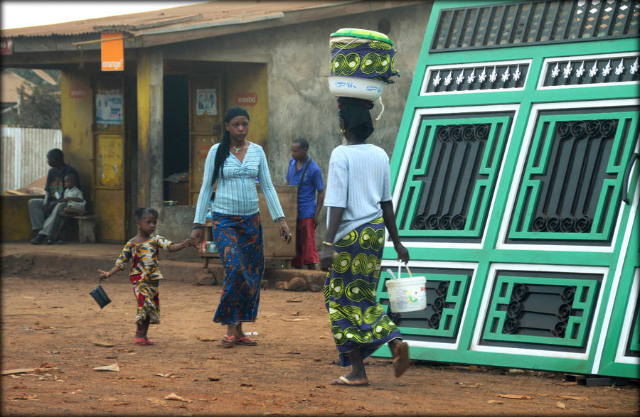 Ботанический сад Конакри. Гвинея Конакри жилища. Научно-исследовательский центр в г. Конакри Гвинея. Гвинея Конакри донка