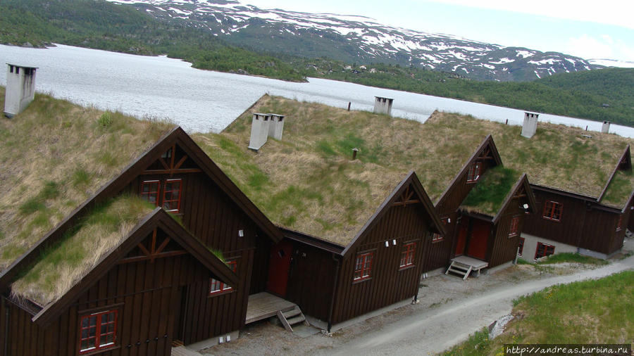 Такие крыши в Норвегии встречаются часто Норвегия