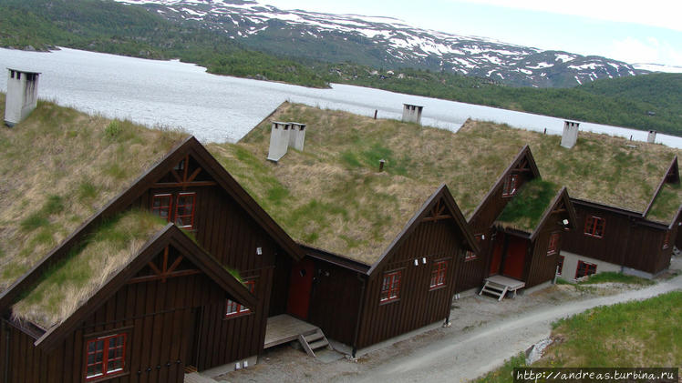 Такие крыши в Норвегии вс