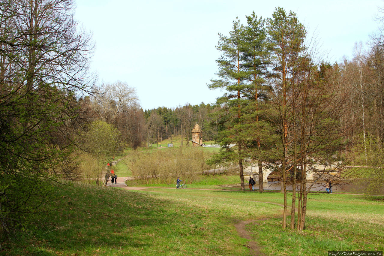 Павловский парк в мае или в гости к белкам (фотоальбом).