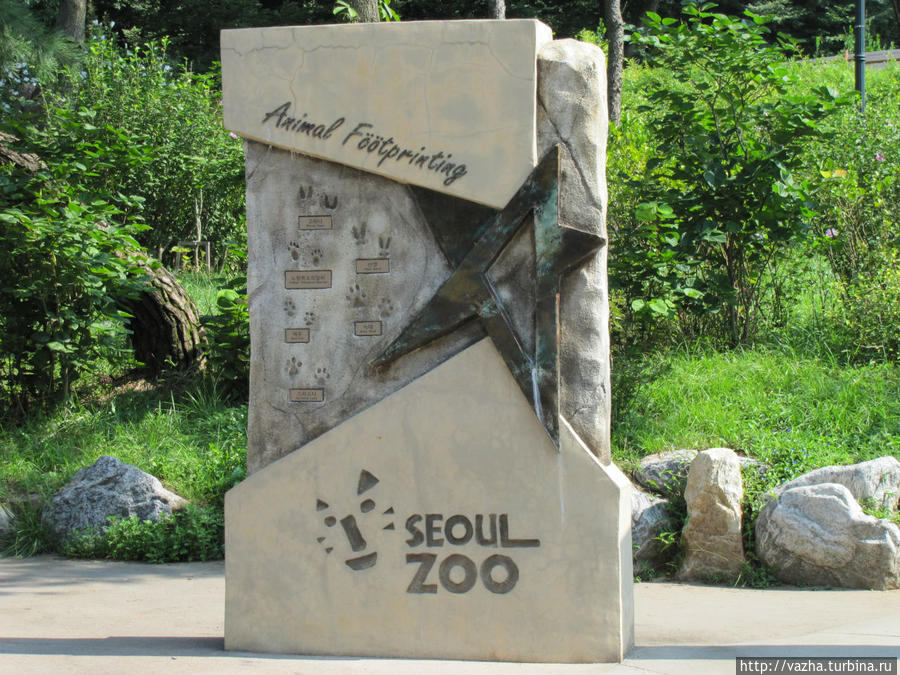 Зоопарк Сеула. Первая часть. Сеул, Республика Корея
