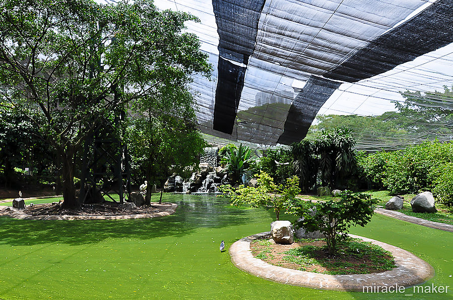 Здесь хорошо видна сетка, натянутая над всем парком. Куала-Лумпур, Малайзия