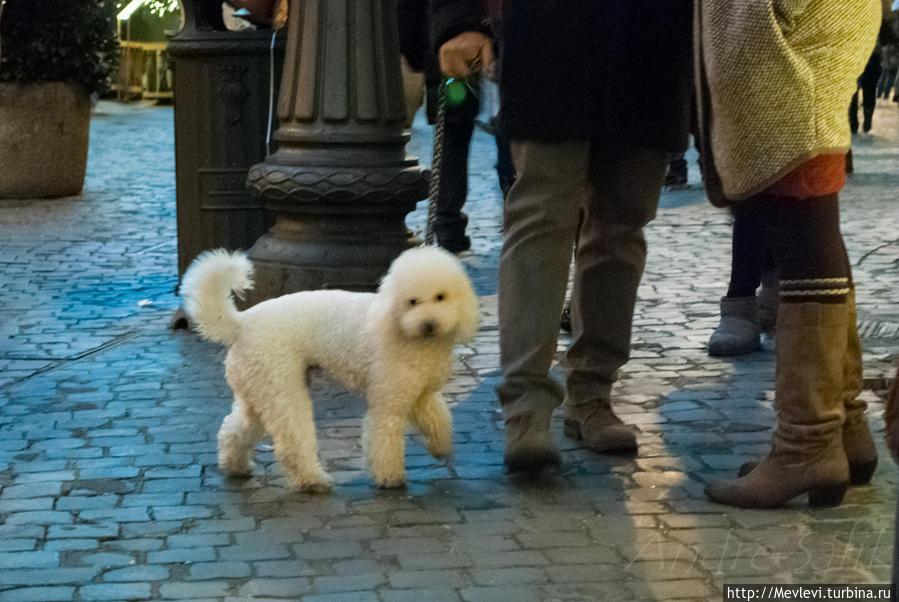 Рим вечерний Рим, Италия