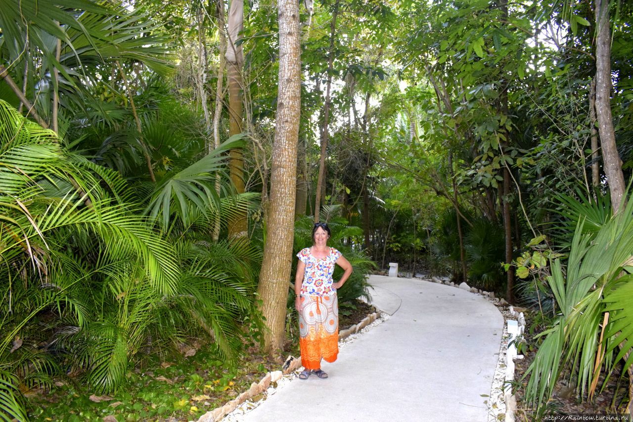 Мексиканский  рай Штат Кинтана-Роо, Мексика