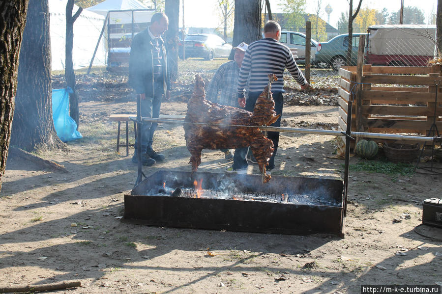 Жарит мясо Область Бач-Кишкун, Венгрия