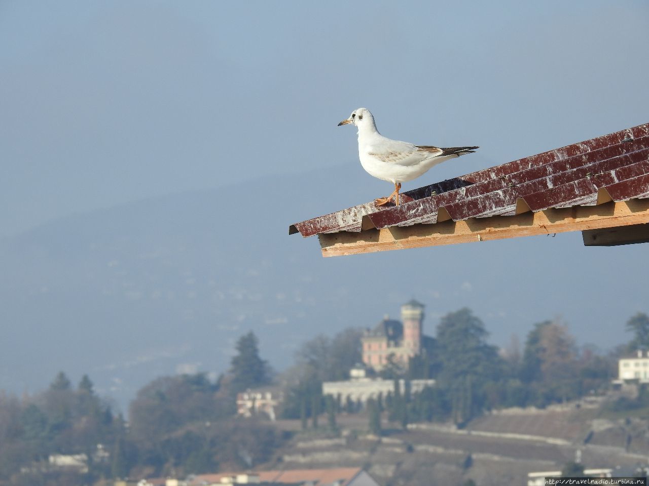 Montreux, 31.12.2016 Монтрё, Швейцария