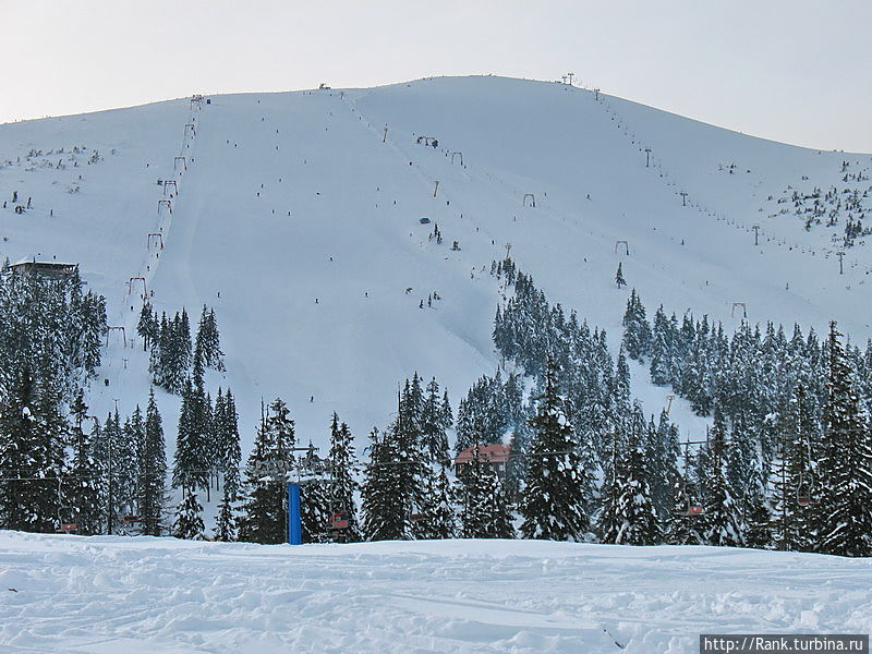 Главный склон Драгобрата