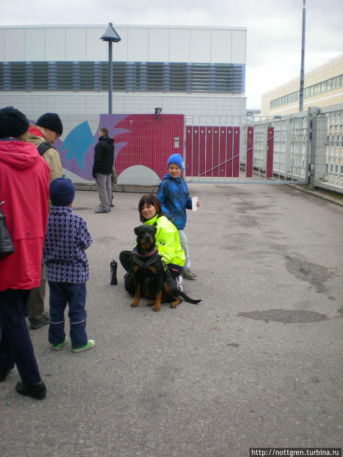 поисковые собаки вместе со своими владельцами помогают работе полиции Тампере, Финляндия