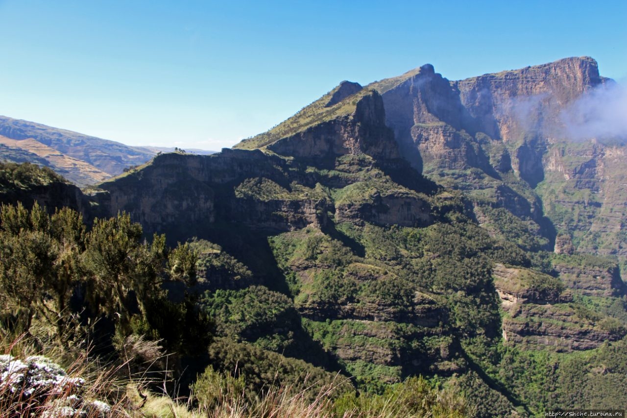 Ченек (местность и кемпинг) Сымен Национальный Парк, Эфиопия