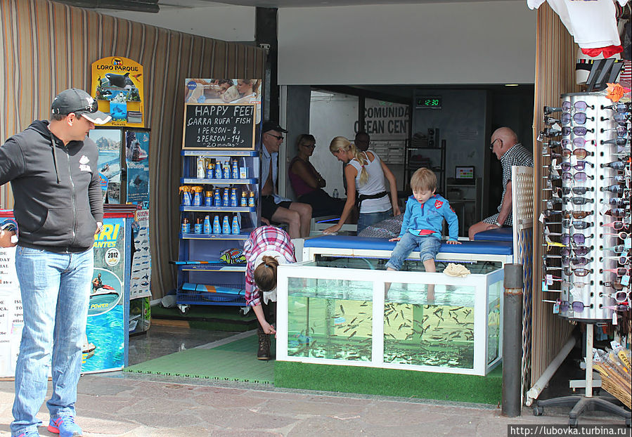 Досуг отдыхающих c рыбками Carra-Rufa.