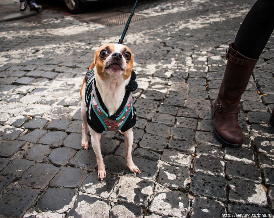 Полуденный красивый Рим Рим, Италия