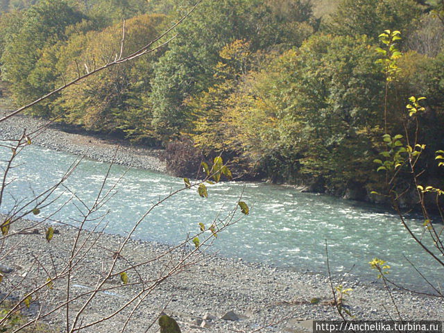 Река Гумиста.