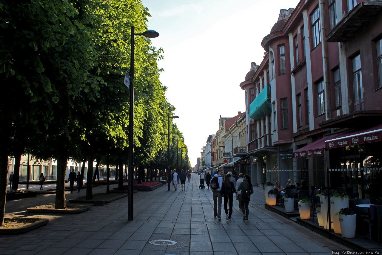 Лайсвес-аллея - пешком по главной улице
