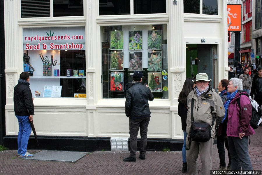 Продажа  туристам Семян Конопли, ну и заодно магических грибочков... Амстердам, Нидерланды
