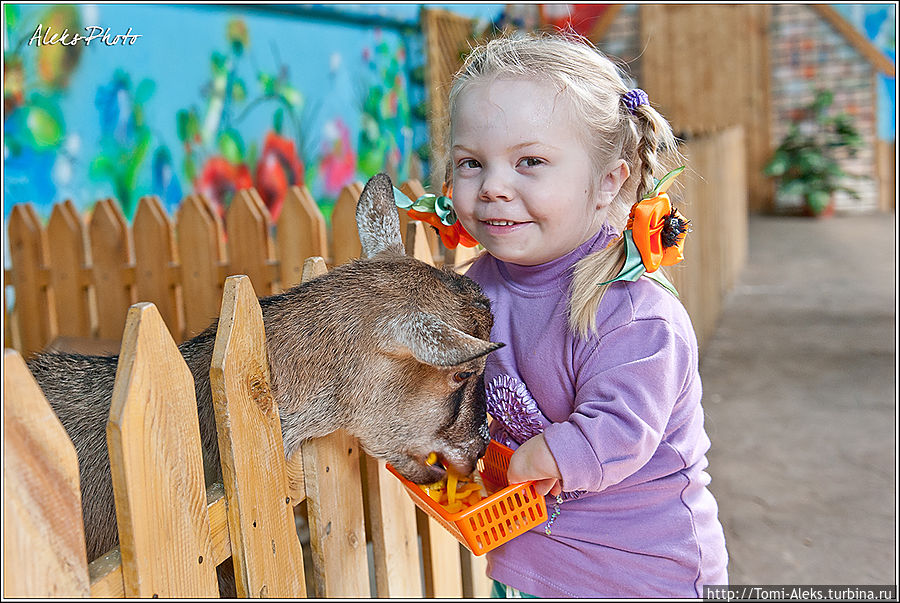 Глядя на эту радостную девочку из реабилитационного центра Парус Надежды, понимаешь сразу, что зоопарки все-таки нужны!
* Воронеж, Россия