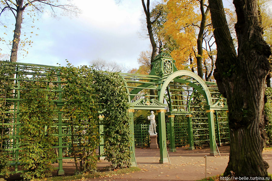 Алексеевский сад в санкт петербурге