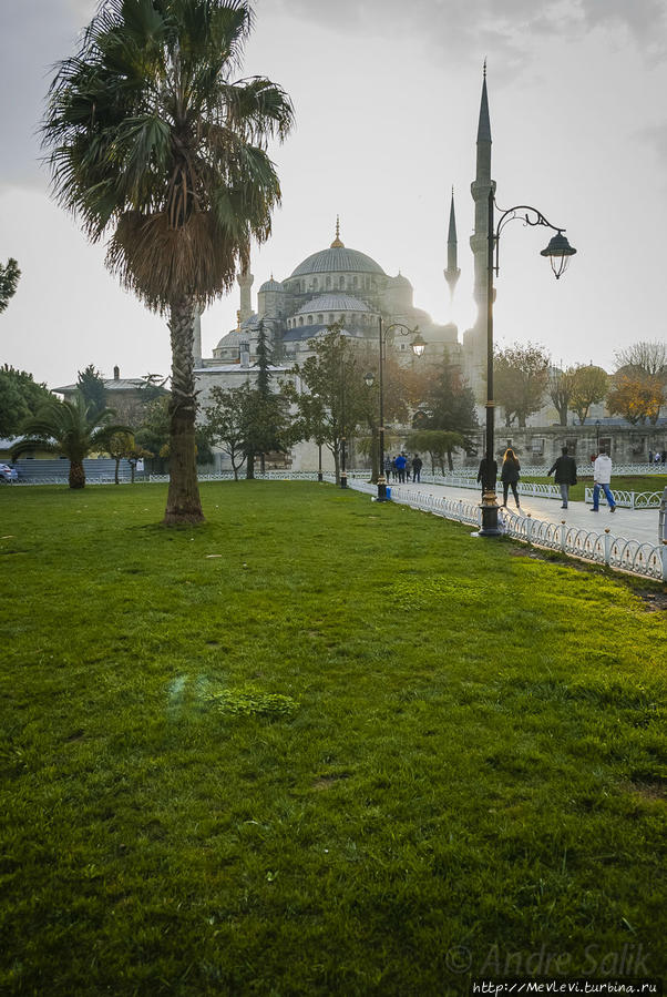 В Голубой Мечети Стамбул, Турция