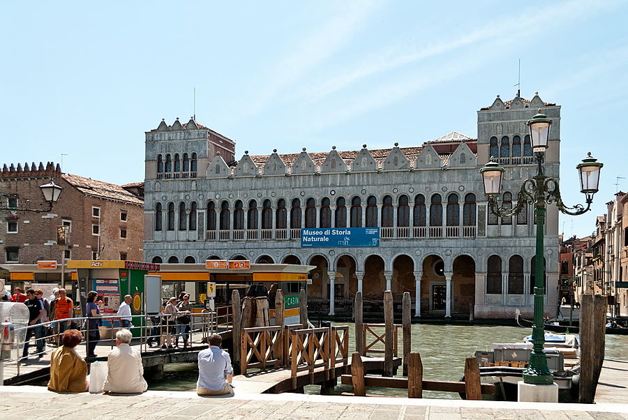 Так выглядит обычная остановка для «маршруток». Только в Венеции. Венеция, Италия