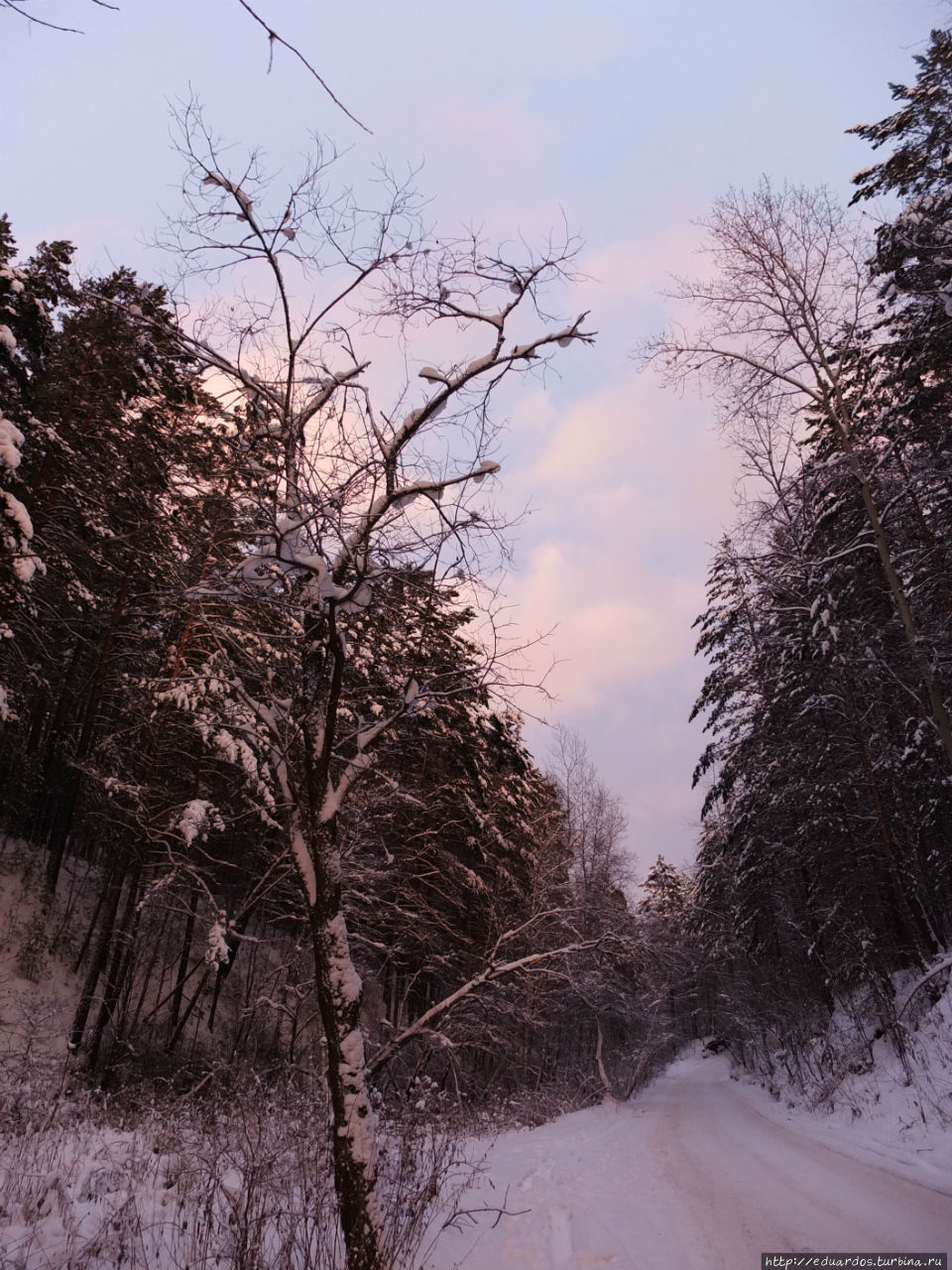 Закат в зимнем лесу Красноярск, Россия