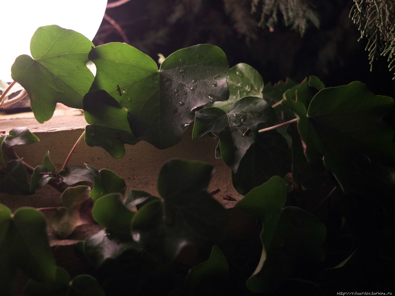 Отель — смехотель Марат))) Гаспра, Россия